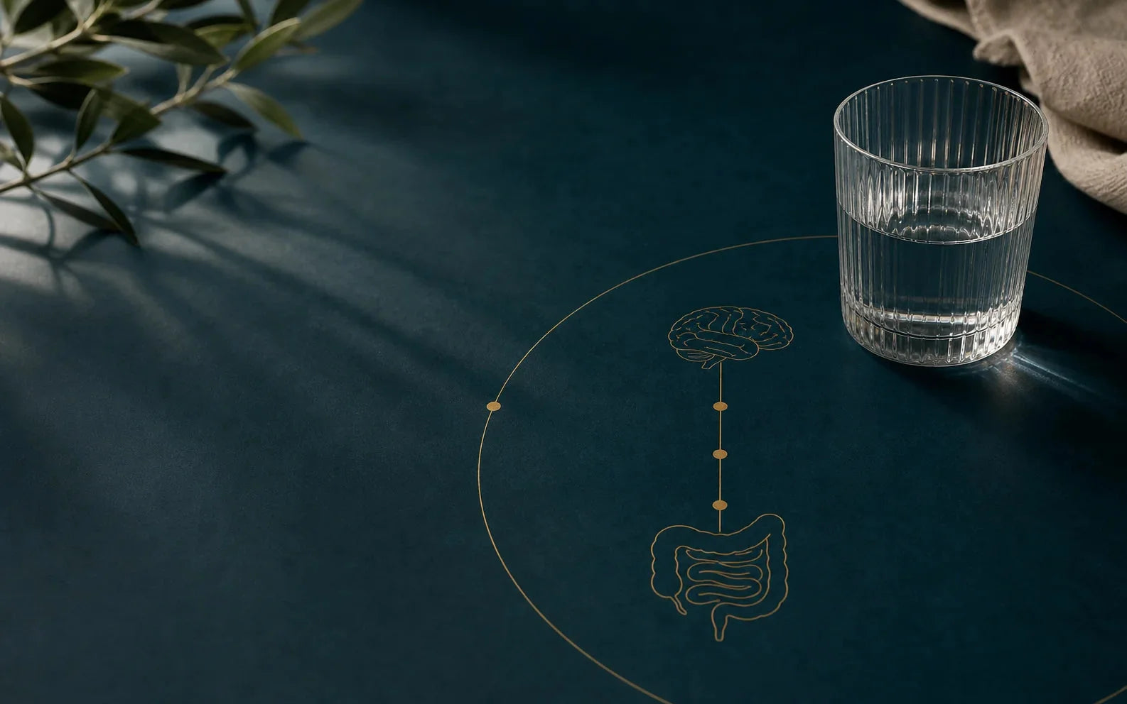 An editorial research plate, the studies the Journal builds on